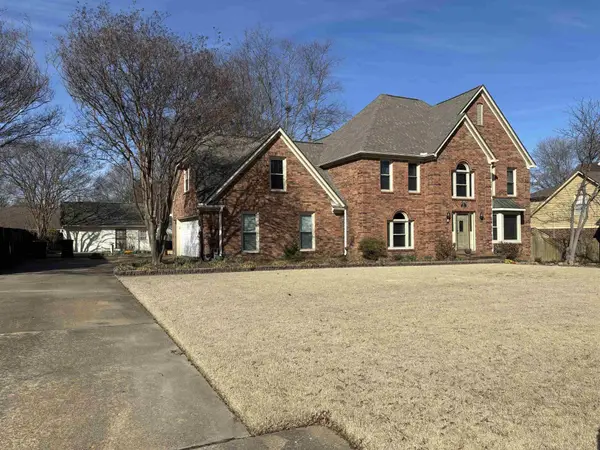 599 Forestdale Dr, Collierville, TN 38017
