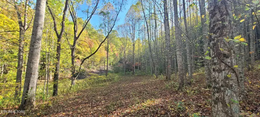 33 South Highway 32, Cosby, TN 37722 - #3