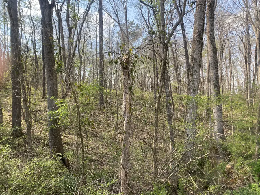 0 Mountain View Drive, Morrison, TN 37357 - #2