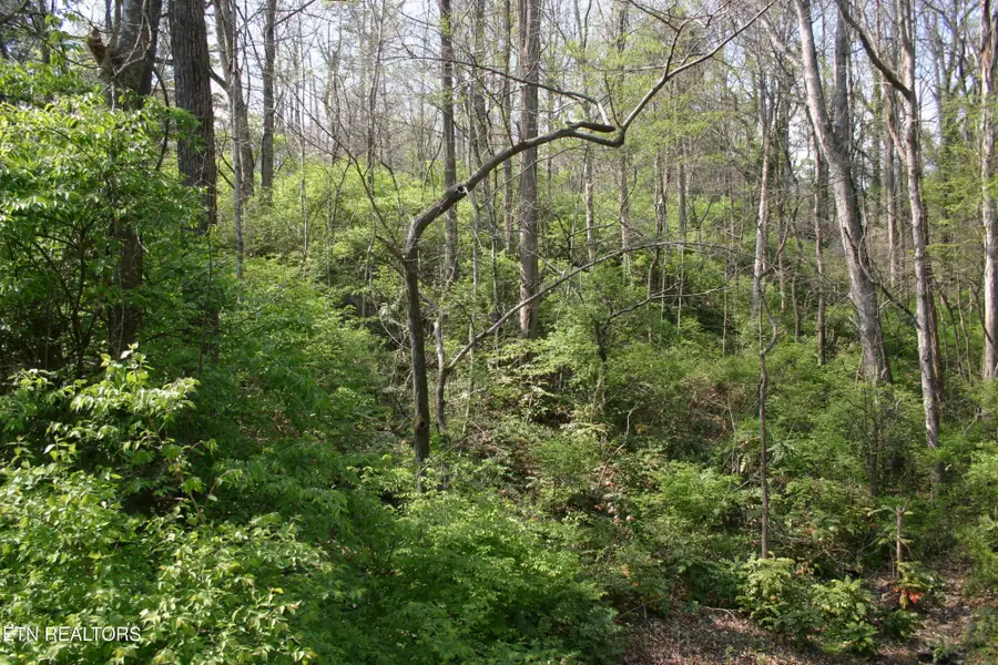 12 Vanhorn Rd, Knoxville, TN 37918 - #2