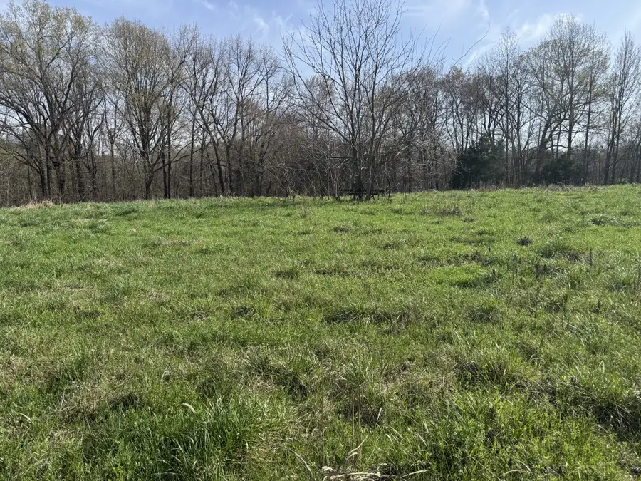 6080 Durhamville Rd, Ripley, TN 38063 - #3