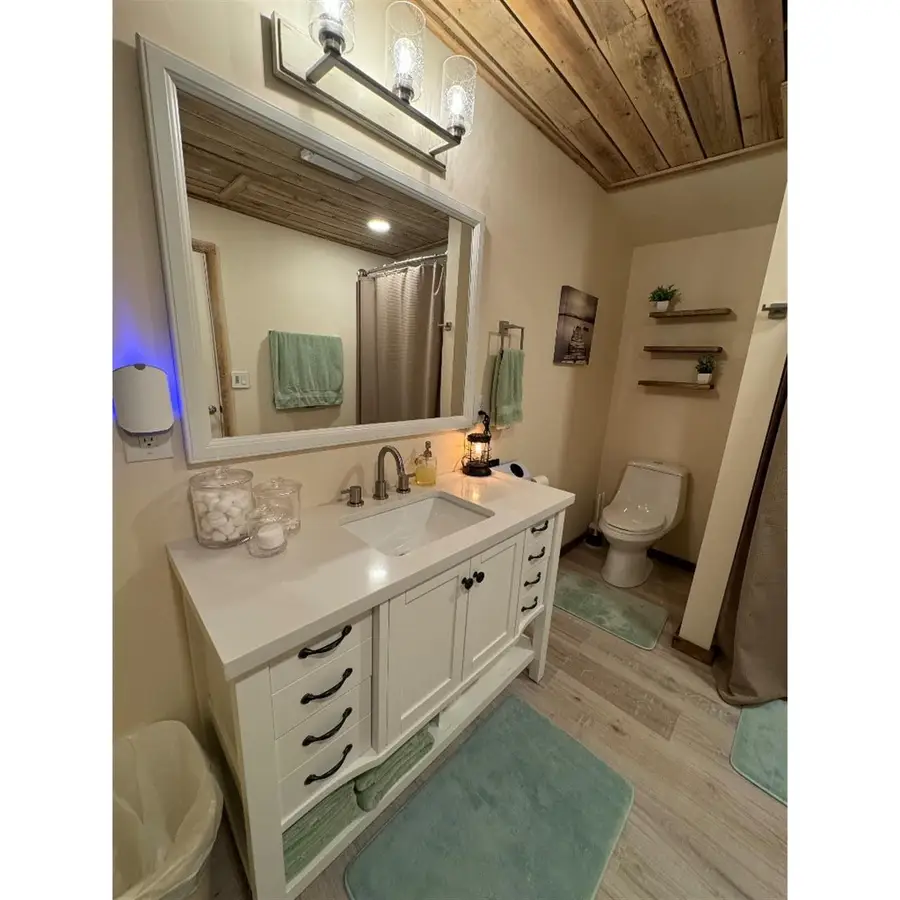 165 Haze Hyde Hollow Rd, Bethpage, TN 37022 - #3