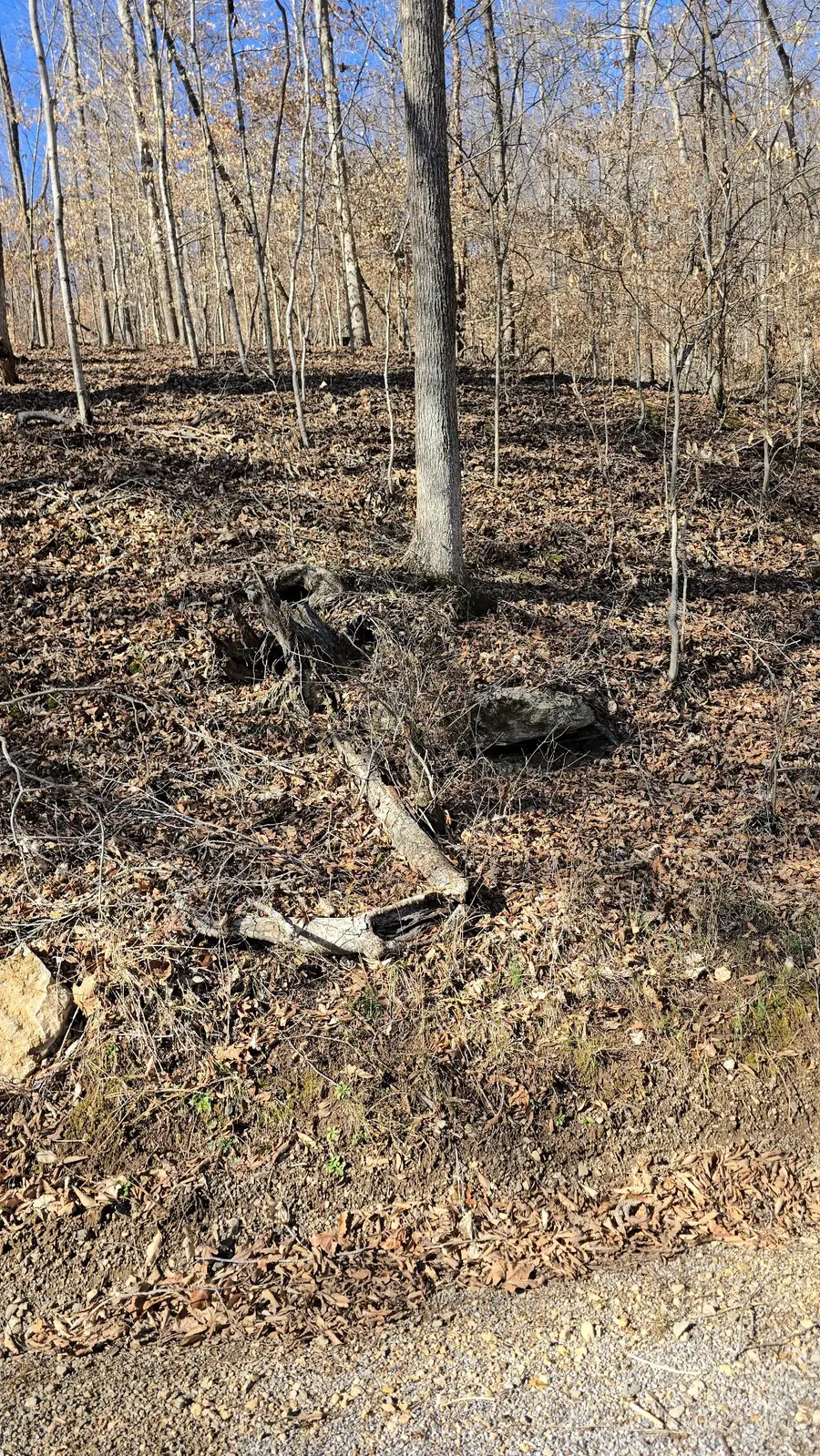 0 Honey Fork Road, Indian Mound, TN 37079 - #2