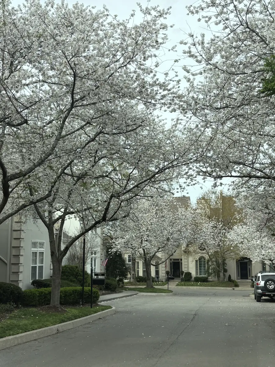 107 Brighton Close, Nashville, TN 37205 - #2