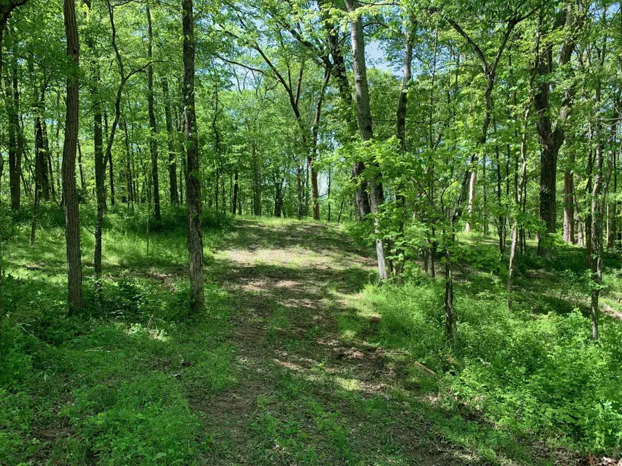 6834 Drumright Hills Ln, College Grove, TN 37046 - #2