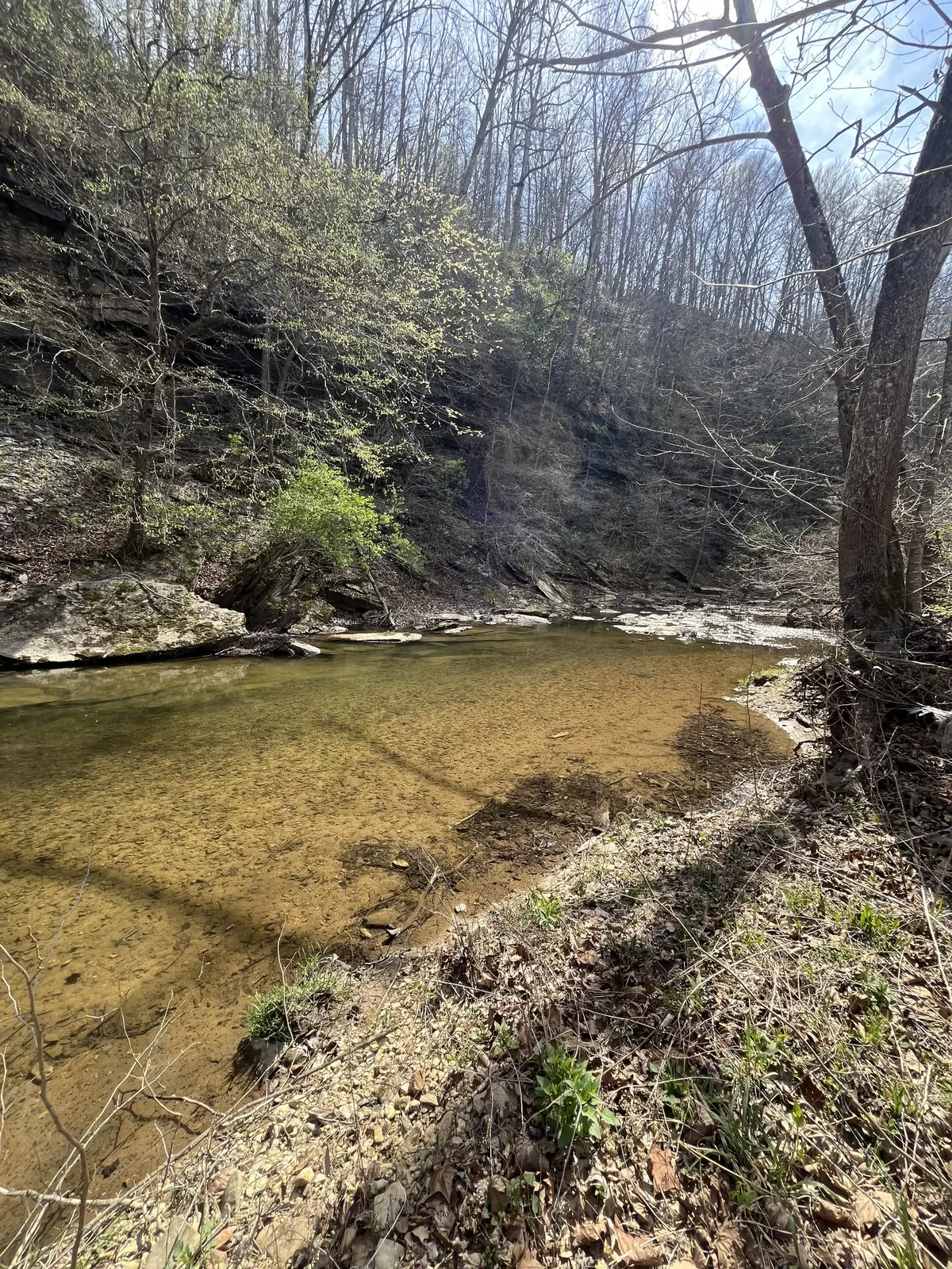 100 Henley Rd, Ashland City, TN 37015 - #1