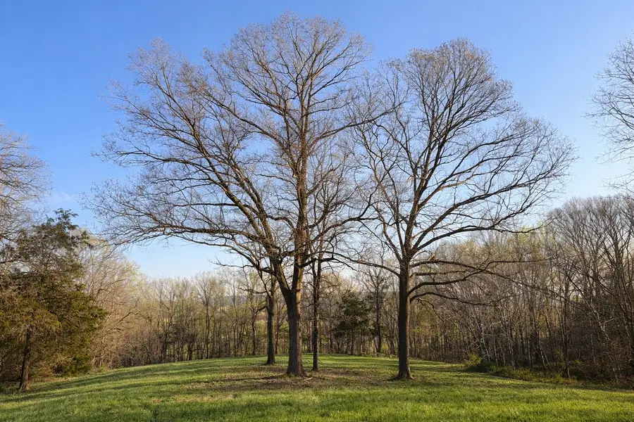 620 Piney Rd, Dickson, TN 37055 - #2