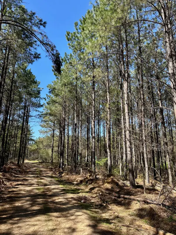 146 Howard Way, Hohenwald, TN 38462