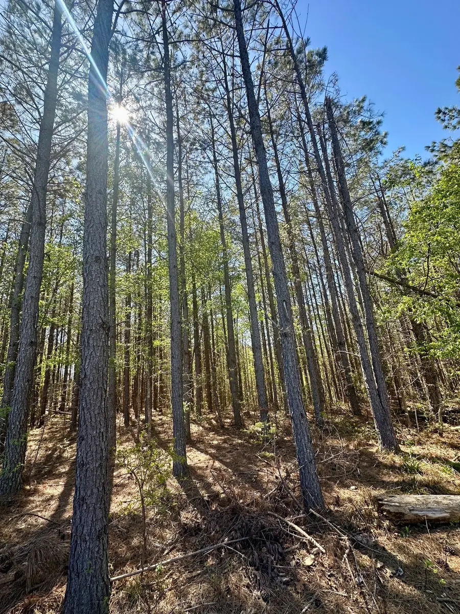 146 Howard Way, Hohenwald, TN 38462 - #2