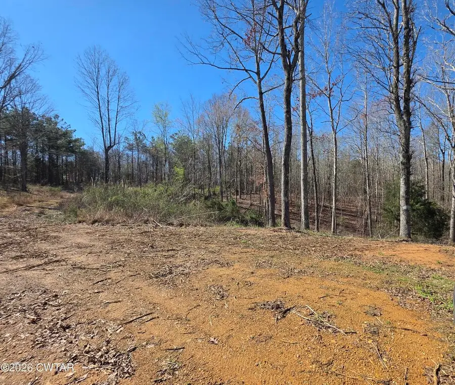 9770 State Route 100 E, Reagan, TN 38368 - #2