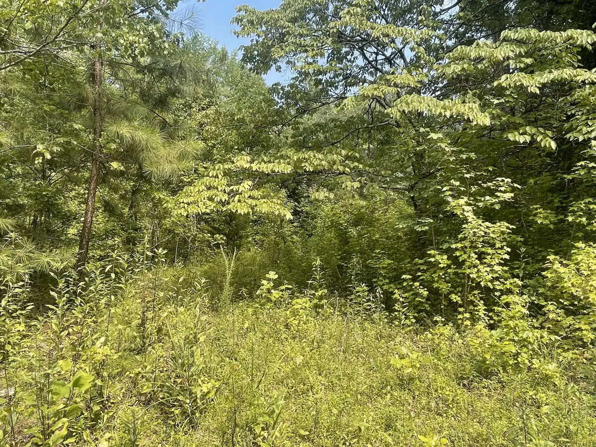 282 County Road 285, Niota, TN 37826 - #1
