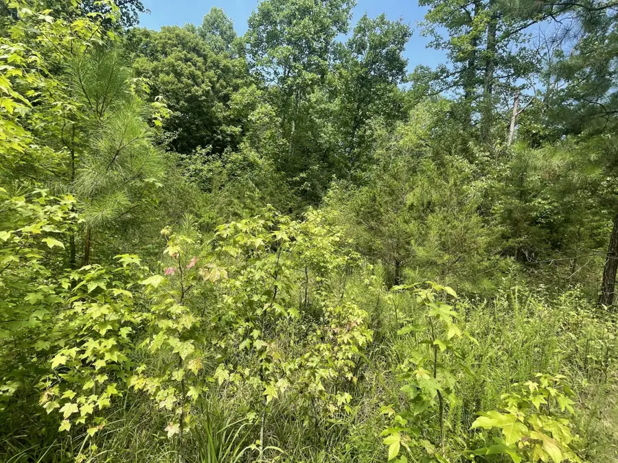 282 County Road 285, Niota, TN 37826 - #2