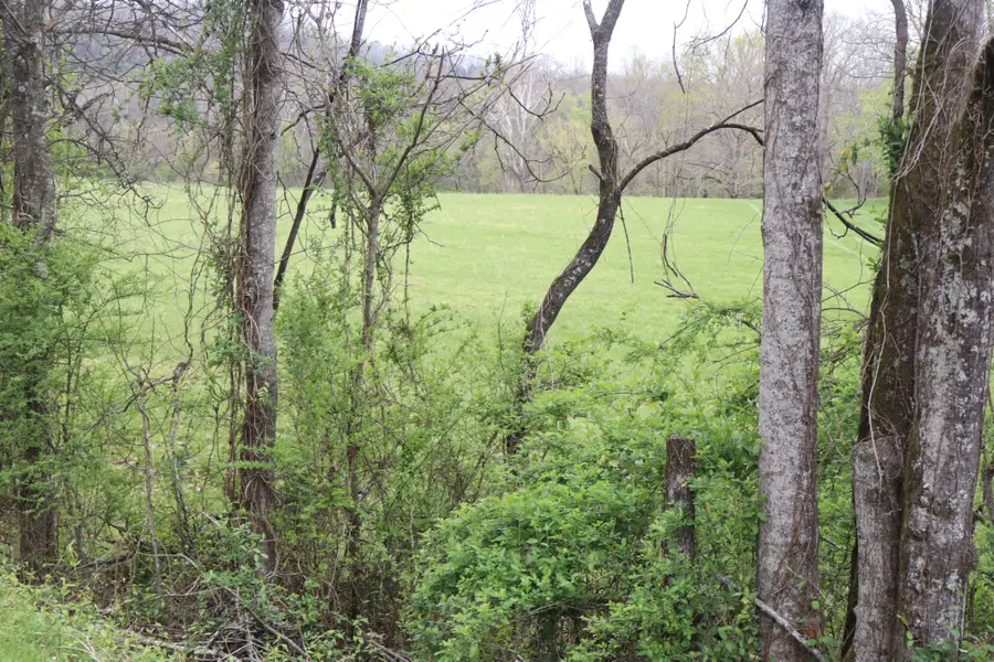 0 Club Springs Rd, Elmwood, TN 38560 - #2