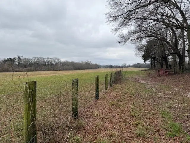 1 Beth Page Rd, Estill Springs, TN 37330 - #3