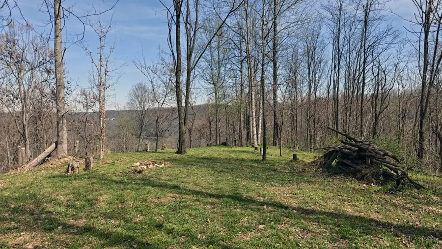 0 Halls Hill Rd, Smithville, TN 37166 - #2