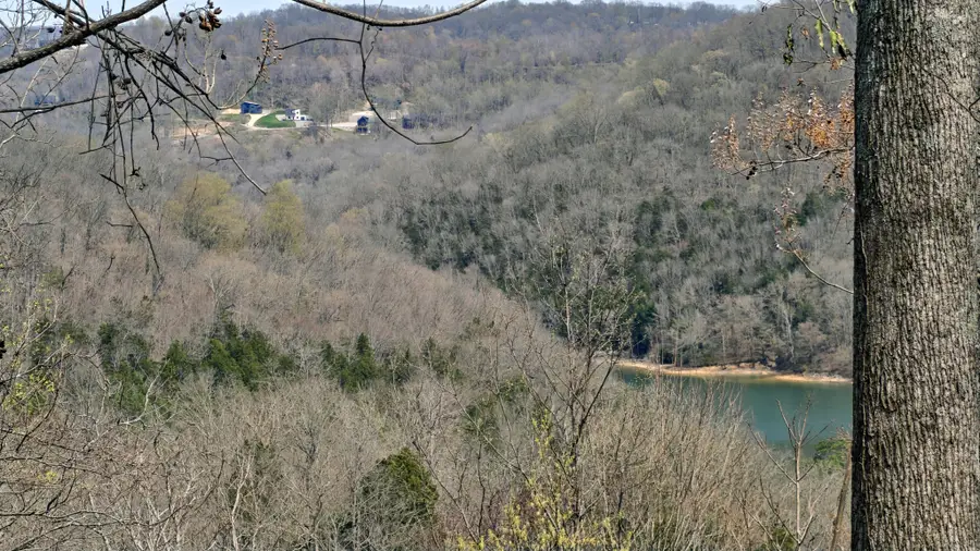 0 Halls Hill Rd, Smithville, TN 37166 - #3