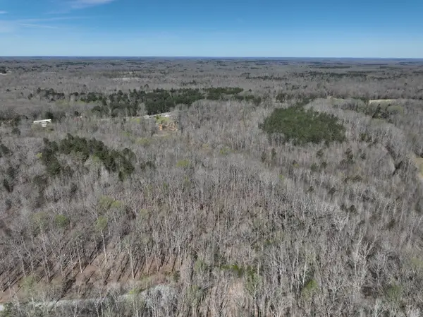 255 War Eagle Drive, Cedar Grove, TN 38321