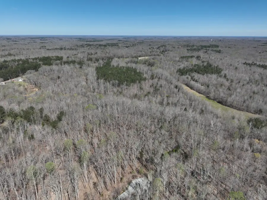 255 War Eagle Drive, Cedar Grove, TN 38321 - #2