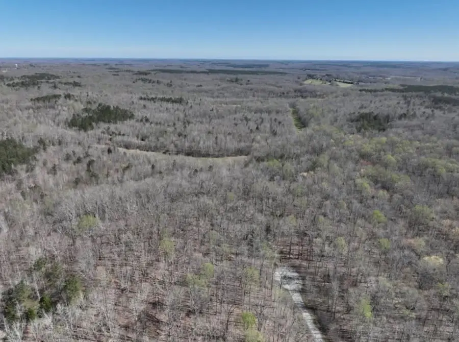 255 War Eagle Drive, Cedar Grove, TN 38321 - #3