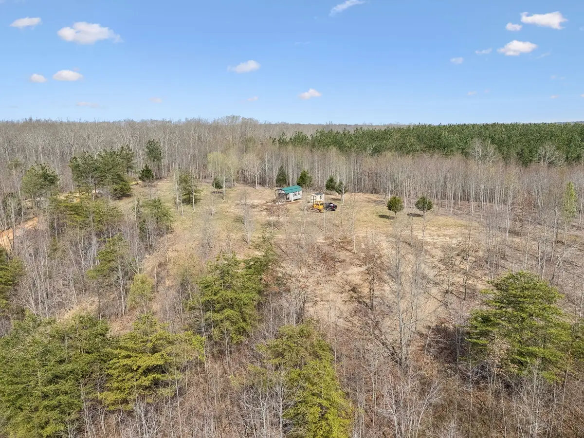 499 Golden View Ln, Hampshire, TN 38461 - #1