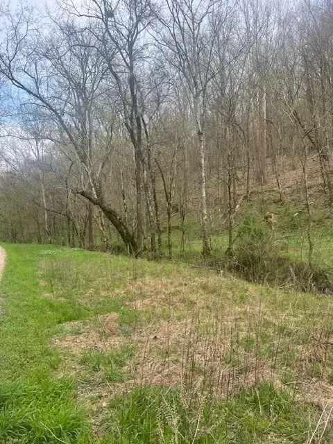 0 Club Springs Rd, Elmwood, TN 38560 - #1