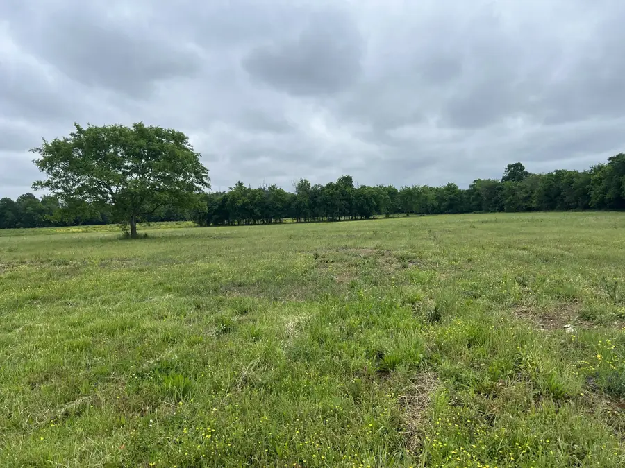 2230 Unionville Deason Rd, Bell Buckle, TN 37020 - #2