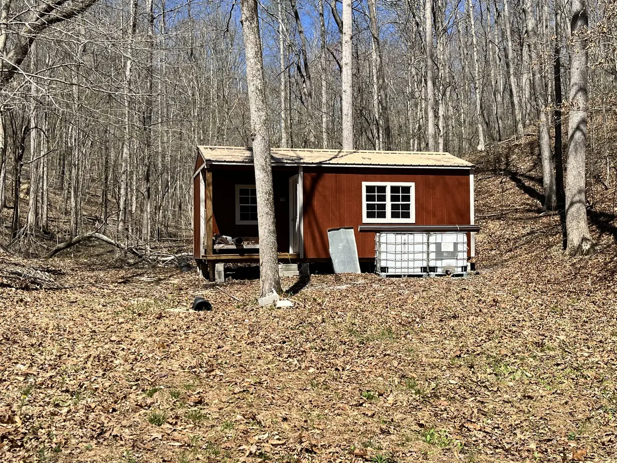 176 Golden View Ln, Hampshire, TN 38461 - #1