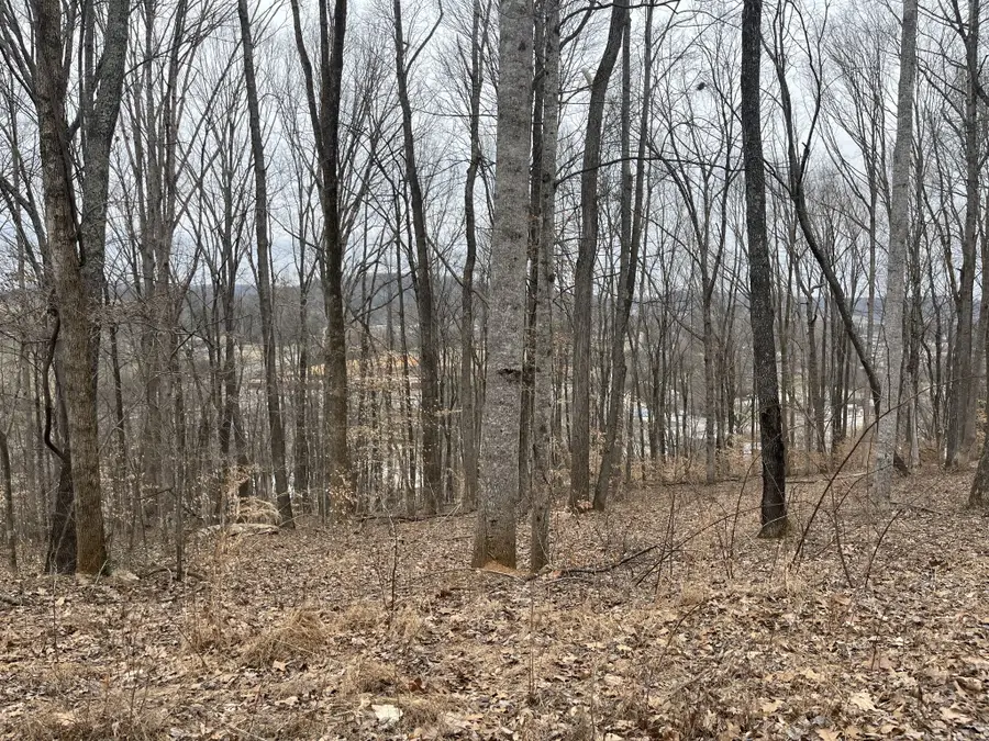 147 Chestnut Hill, Livingston, TN 38570 - #2