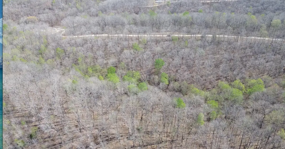 0 Owl Circle, Hurricane Mills, TN 37078 - #1