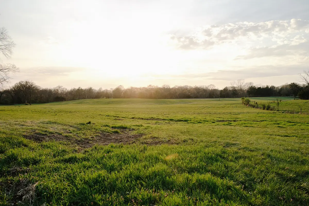 1652 Guy Ferrell Rd, Franklin, TN 37067 - #1