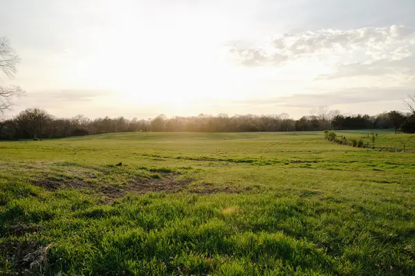 1652 Guy Ferrell Rd, Franklin, TN 37067