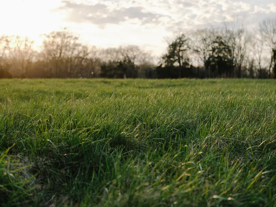 1652 Guy Ferrell Rd, Franklin, TN 37067 - #2