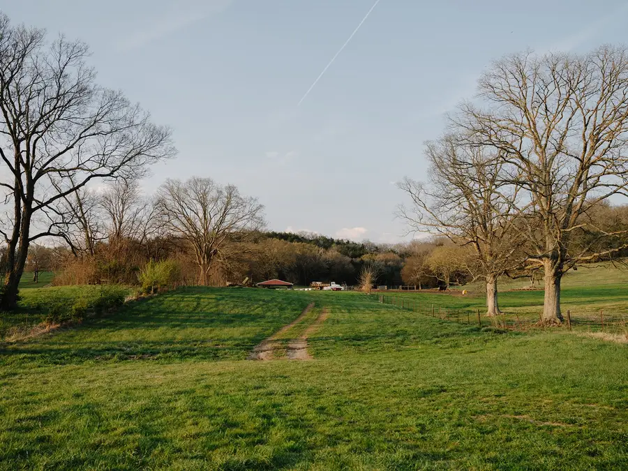 1652 Guy Ferrell Rd, Franklin, TN 37067 - #3