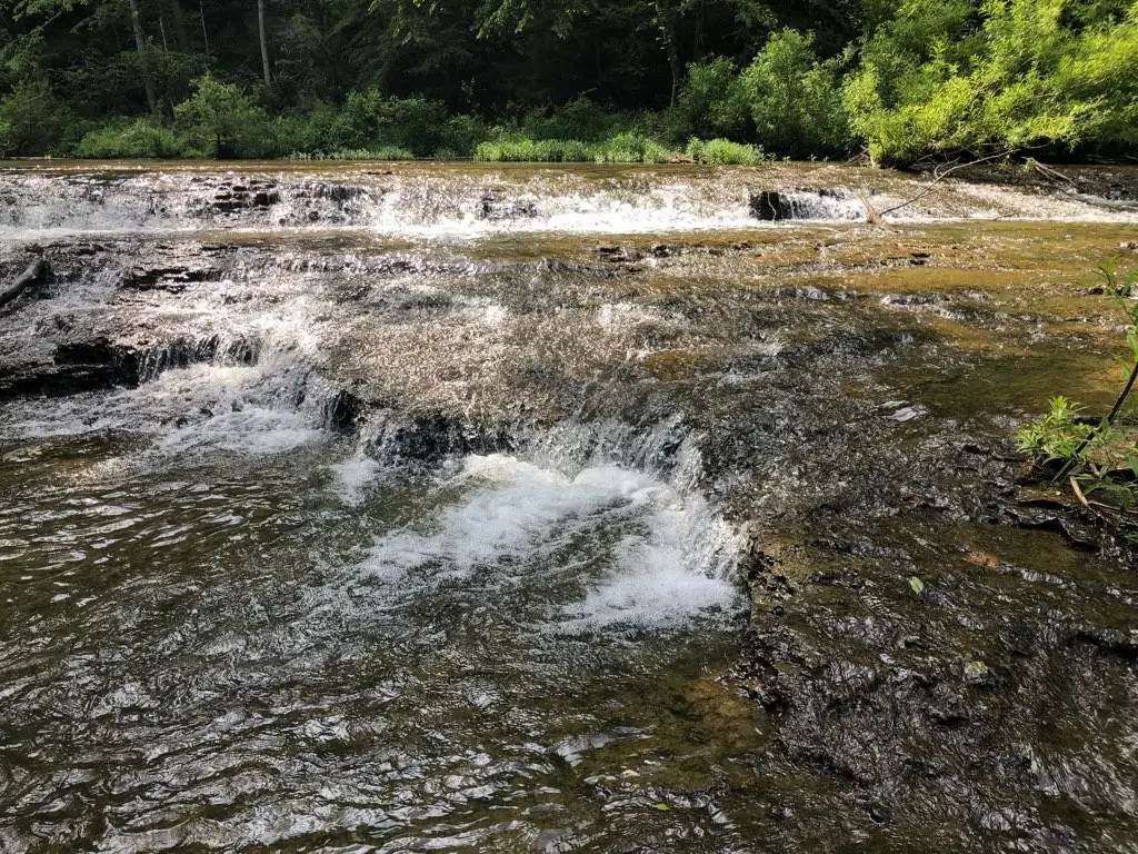 175 Luna Mill Rd, Smithville, TN 37166 - #1