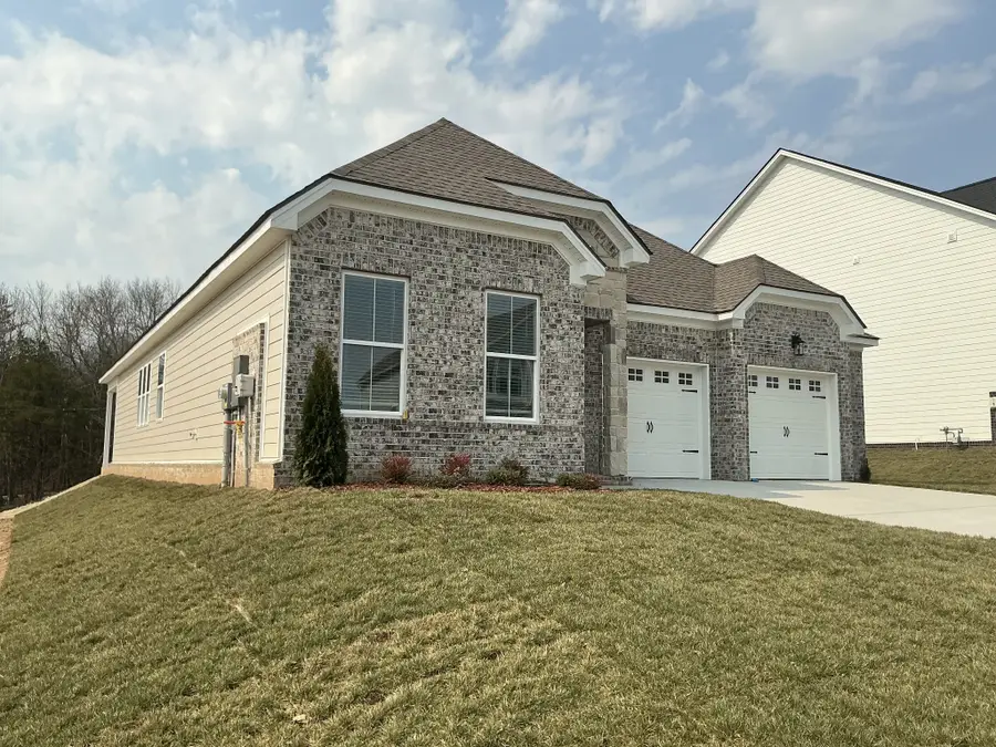 141 Emeline Way, Mount Juliet, TN 37122 - #2