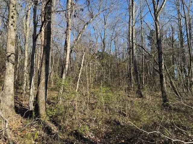 120 S Woods Rd, McMinnville, TN 37110 - #2