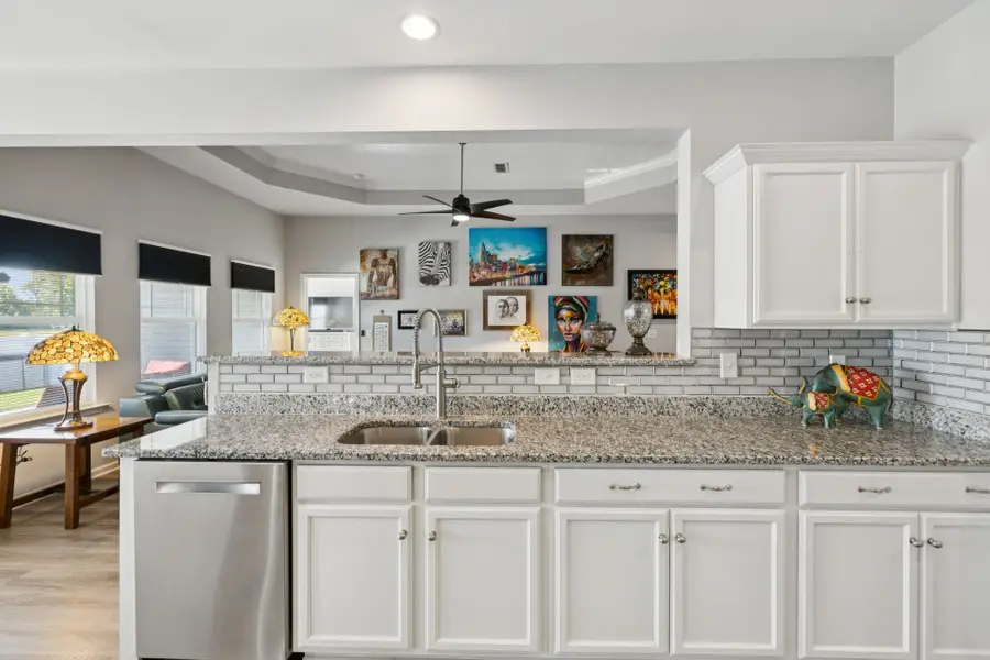 236 Karis Dr, Spring Hill, TN 37174 - #3