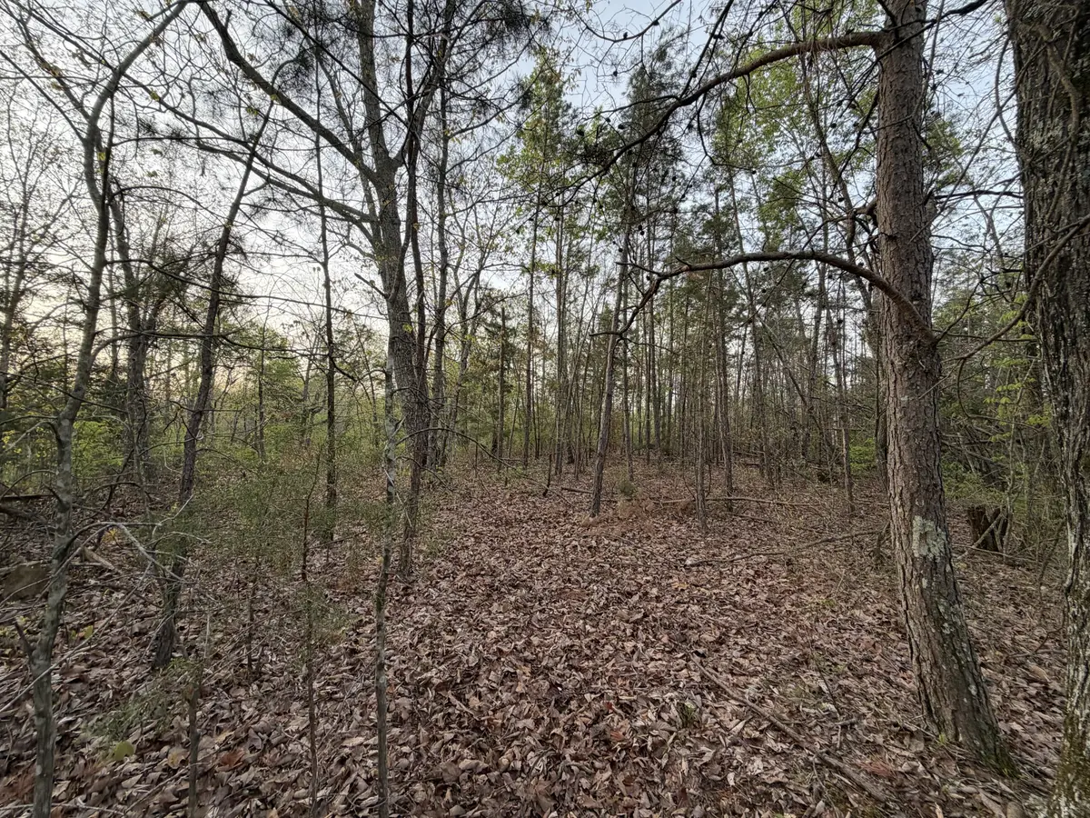 0 Salem Road, Centerville, TN 37033 - #1