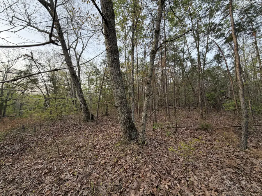 0 Salem Road, Centerville, TN 37033 - #2