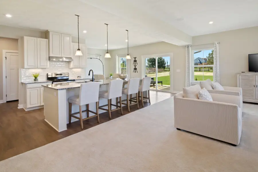 2423 Thoroughbred Way, White House, TN 37188 - #3