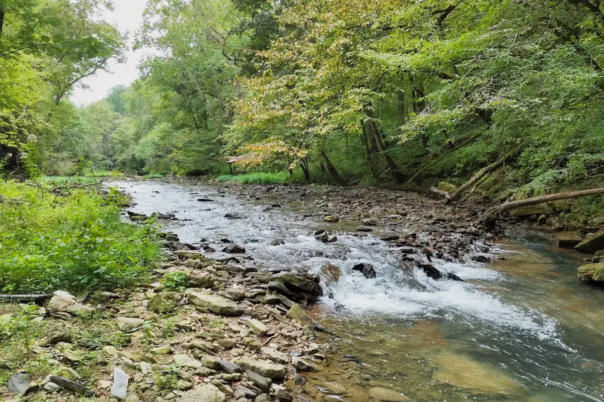 1045 Jones Mill Rd, Smithville, TN 37166 - #1