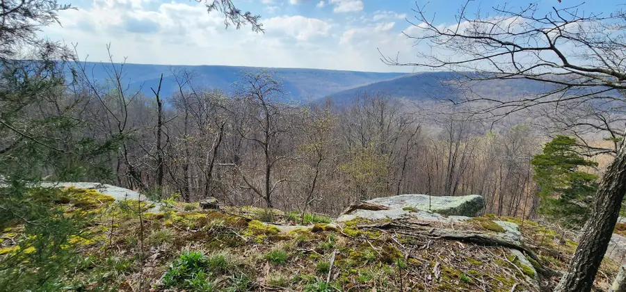 0 Roth Point Road, Altamont, TN 37301 - #3