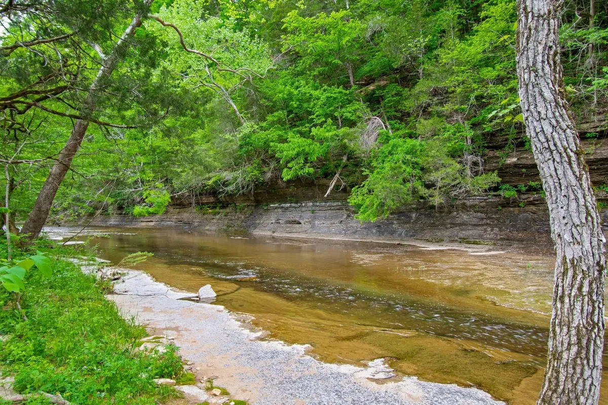 0 Crow Cut Rd, Fairview, TN 37062 - #1