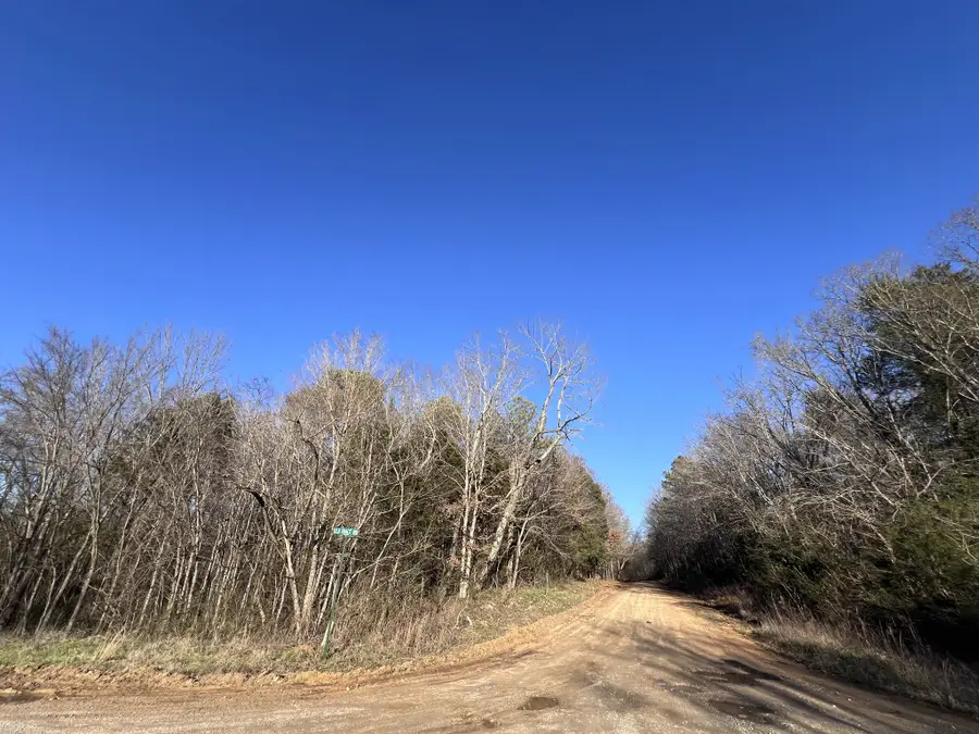 0 Sheboss Rd, Duck River, TN 38454 - #3