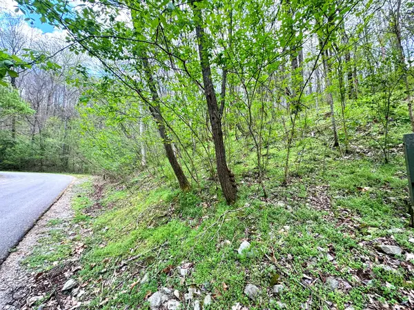 0 Lakeview Dr, Smithville, TN 37166