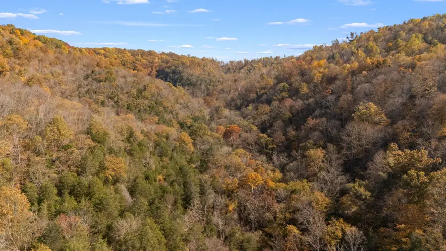 1 Burt Burgen Road, Woodbury, TN 37190 - #3