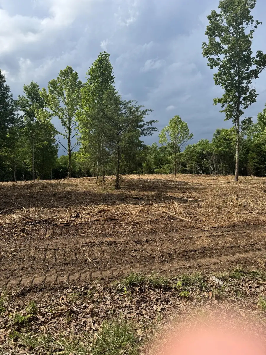 0 Ridgetop Road, Hampshire, TN 38461 - #2