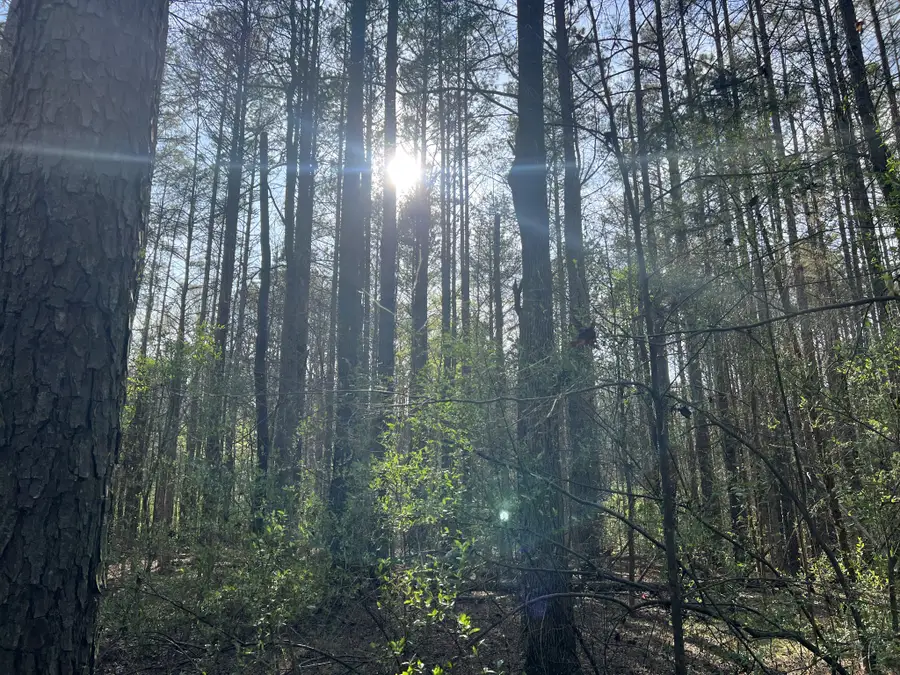 116 Zara Spook Dr Lot 139, Cedar Grove, TN 38321 - #2