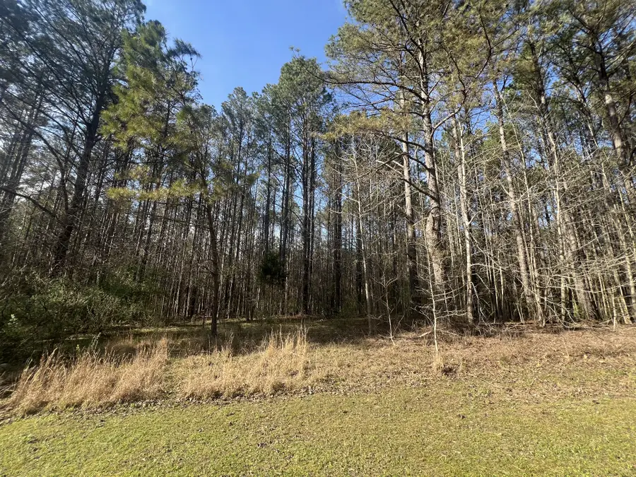 116 Zara Spook Dr Lot 139, Cedar Grove, TN 38321 - #3
