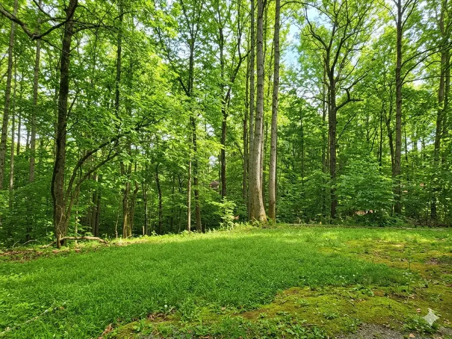 0 Periwinkle Path, Leoma, TN 38468 - #2